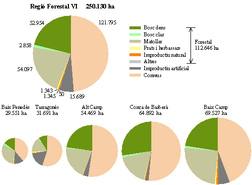 Distribuci de les cobertes del sl a la Regi Forestal VI