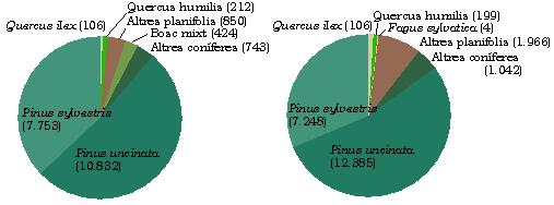 Distribuci en superfcie i en existncies de les principals espcies arbries presents a la Cerdanya.