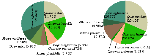 Distribuci en superfcie i en existncies de les principals espcies arbries presents a Osona.