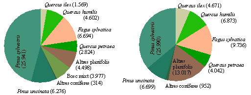 Distribuci en superfcie i en existncies de les principals espcies arbries presents al Ripolls.