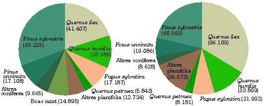 Distribuci en superfcie i en existncies de les principals espcies arbries presents a la Regi Forestal II.