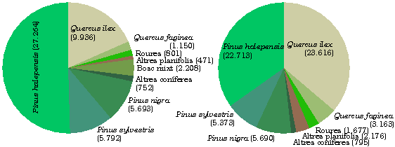 Distribuci en superfcie i en existncies de les principals espcies arbries presents a la Regi Forestal VI.