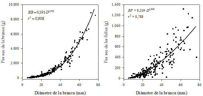 Relacions allomtriques Dimetre de branca - Pes sec de branca i Dimetre de branca - Pes sec de fulles