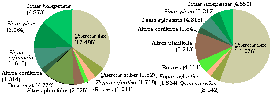 Distribuci en superfcie i en existncies de les principals espcies arbries presents al Valls Oriental