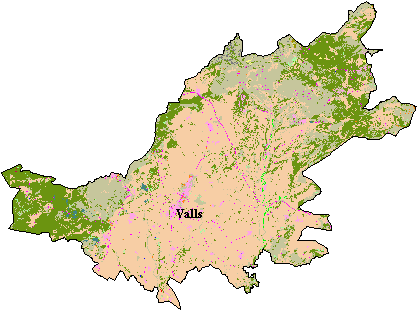 Mapa de Cobertes del Sòl a l'Alt Camp