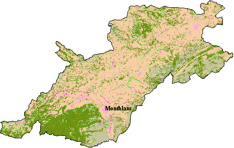Mapa de Cobertes del Sòl a la Conca de Barber