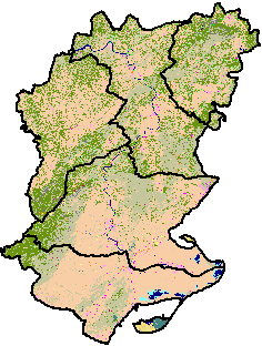 Regi� Forestal VII