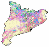 Mapa de Models de Combustible, 1 edici