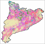 Mapa de Models de Combustible, 2 edici