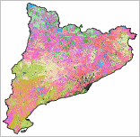 Mapa de Models de Combustible, 2 edici (ampliada)