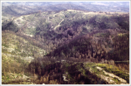 Incendi de 1994 al Bages-Berguedà