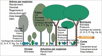 Variables mostrejades a l'IEFC