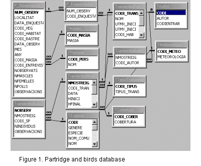 Database for birds and partridges