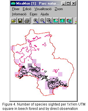 Number of species observed in beech forests and with directo observation