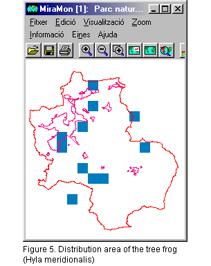 Tree frog distribution