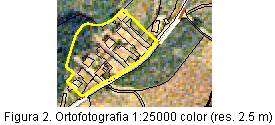 Ortofotografia 1:25000 color (2.5 m de resoluci espacial)
