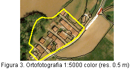 Ortofotografia 1:5000 color (0.5 m de resoluci espacial)